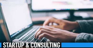 Startup and Consulting